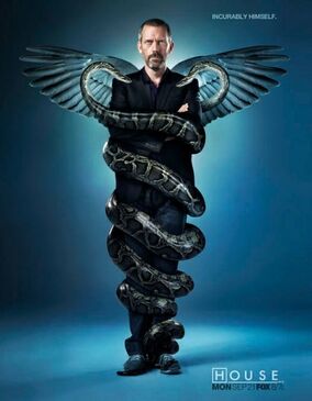 House role model synopsis House role model synopsis